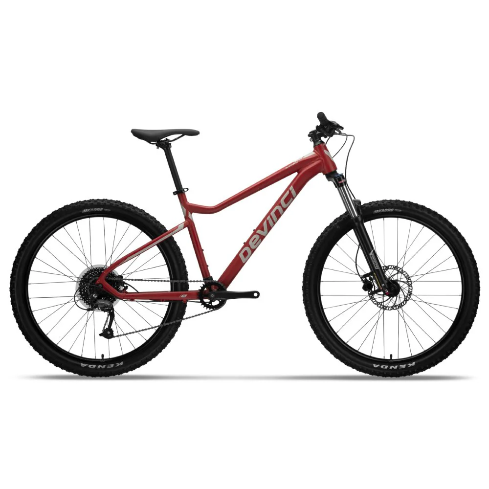 Devinci Blackbird Altus 9s Bike