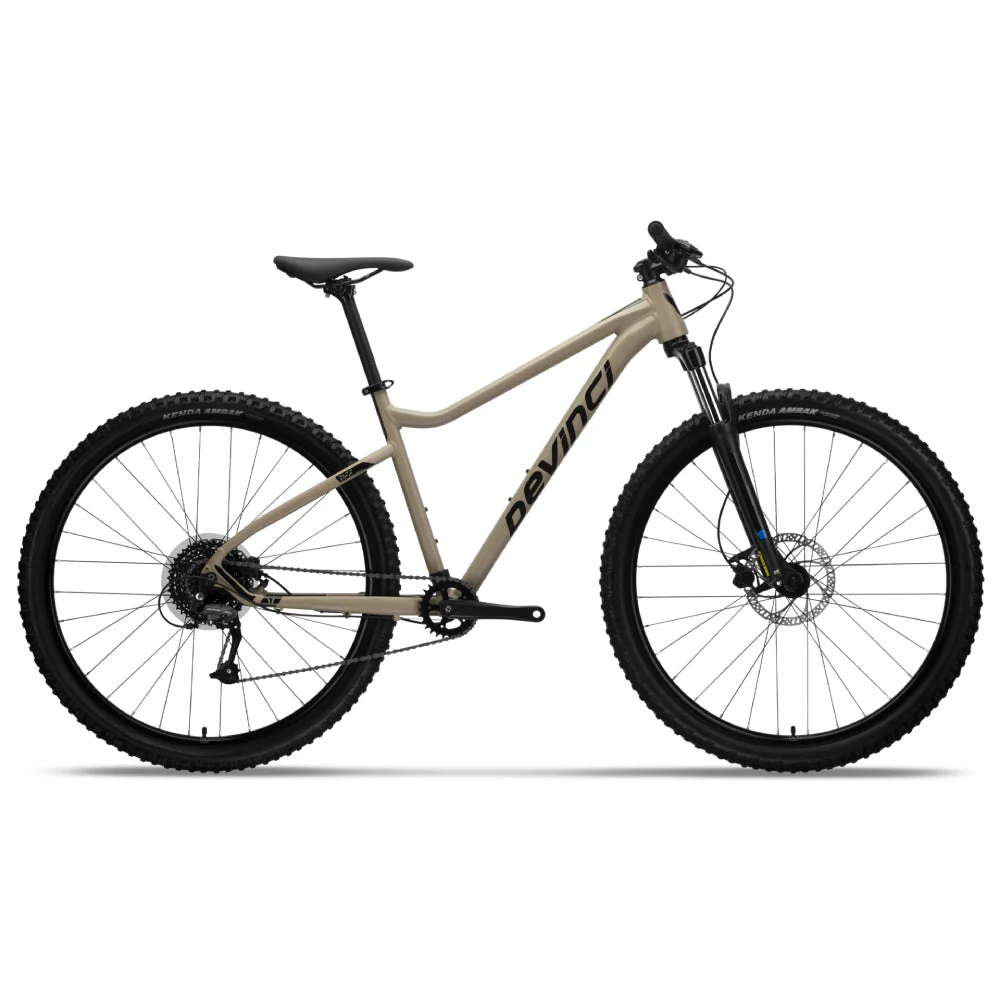 Devinci Riff Altus 9s Bike