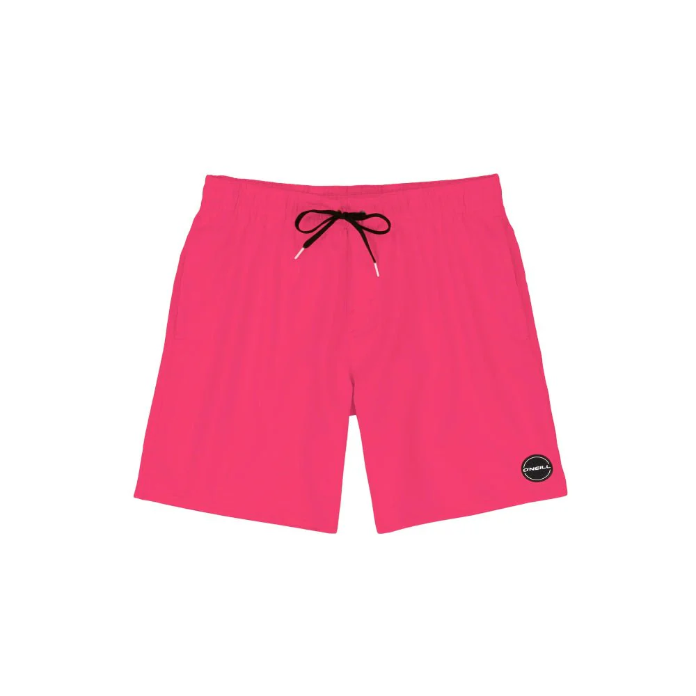 O'Neill Solid Canada Mens Volley Short 2023 - Image 19