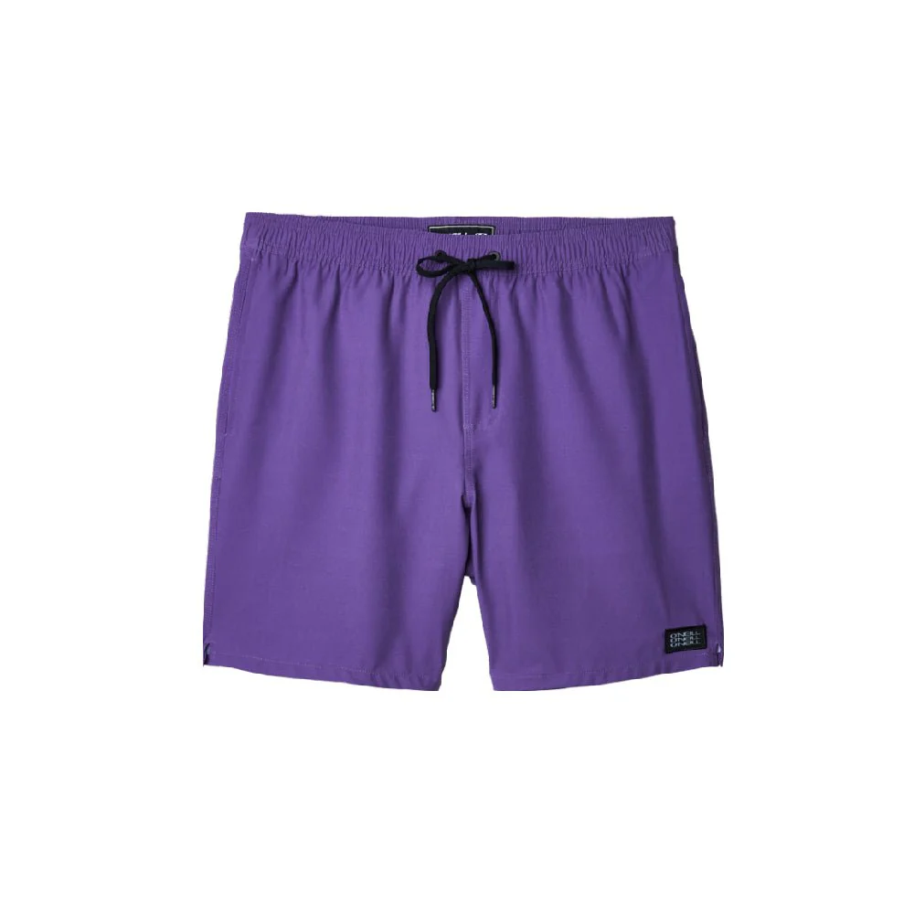 O'Neill Solid Canada Mens Volley Short 2023 - Image 20