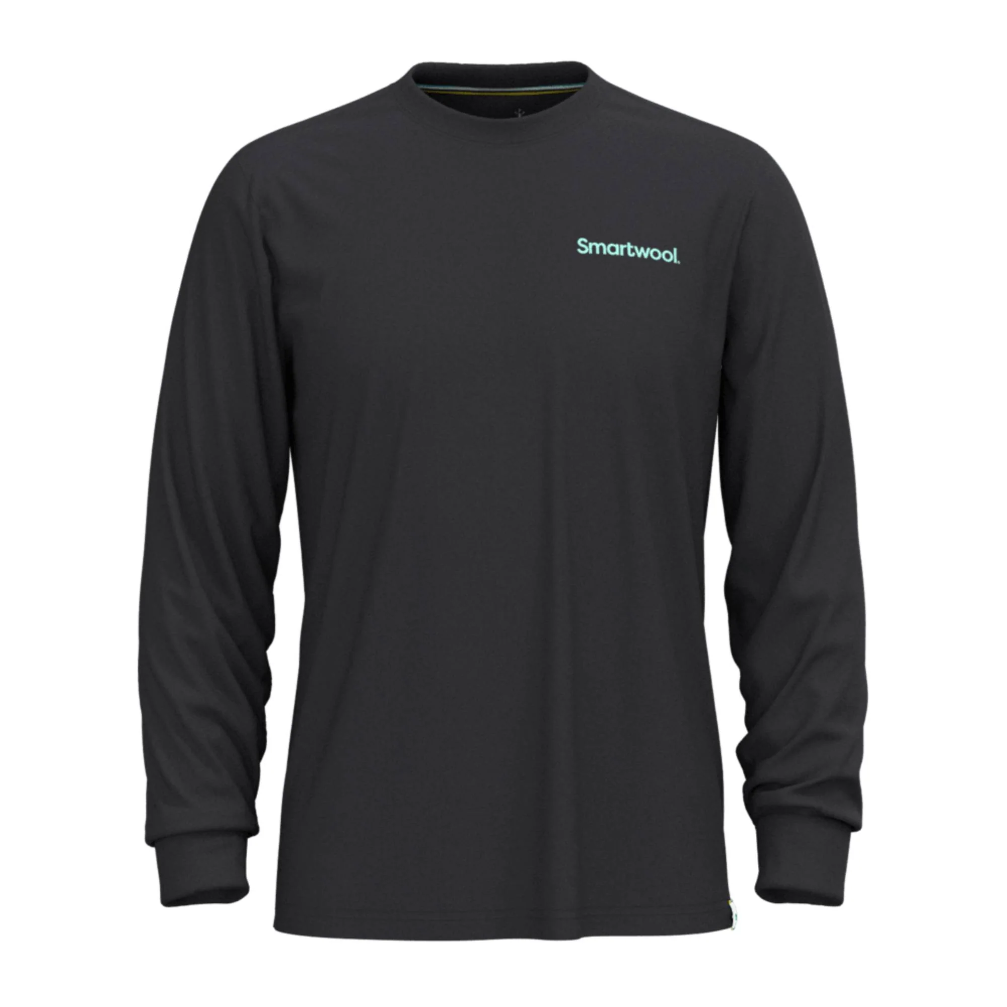 Smartwool Gondola View Mens LS Graphic Tee